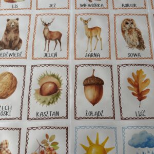 JESIENNE PLANSZE EDUKACYJNE